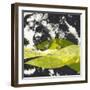 Kabu 3-David Owen Hastings-Framed Giclee Print