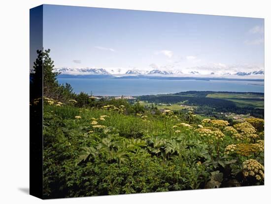 Kachemak Bay From Homer Looking To the Kenai Mountains Across Homer Spit, Alaska, USA-Bernard Friel-Stretched Canvas