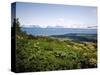 Kachemak Bay From Homer Looking To the Kenai Mountains Across Homer Spit, Alaska, USA-Bernard Friel-Stretched Canvas