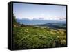 Kachemak Bay From Homer Looking To the Kenai Mountains Across Homer Spit, Alaska, USA-Bernard Friel-Framed Stretched Canvas