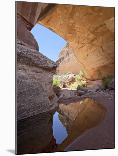 Kachina Natural Bridge, Natural Bridges National Monument, Utah, USA-James Hager-Mounted Photographic Print