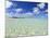 Kadhdhoo Island, Laamu Atoll, Southern Maldives, Indian Ocean-Stuart Westmorland-Mounted Photographic Print