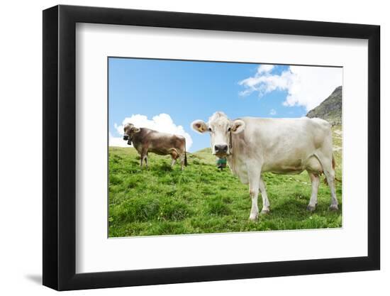 Premium Photographic Print, , large
