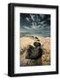 Kaena Point State Park, Oahu: a Trail of Black Lava Rocks Make their Way into the Incoming Tide-Brad Beck-Framed Photographic Print