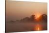 Kafue River at Dawn-Michele Westmorland-Stretched Canvas