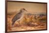 Kagu (Rhinochetus Jubatus), C.1851-76-Joseph Wolf-Framed Giclee Print