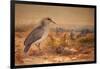 Kagu (Rhinochetus Jubatus), C.1851-76-Joseph Wolf-Framed Giclee Print