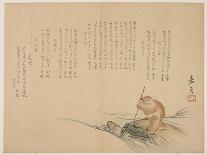 Monkey Riding on a Turtle, C.1818-29-Kagyo-Framed Premium Giclee Print