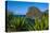 Kahakuloa Head, Western Maui, Hawaii, United States of America, Pacific-Michael Runkel-Stretched Canvas