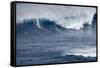 Kai Lenny on Stand Up Paddle Board Surfing Monster Waves at Pe'Ahi Jaws, North Shore Maui-Janis Miglavs-Framed Stretched Canvas