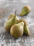 Conference Pears-Kai Schwabe-Photographic Print