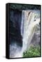 Kaieteur Waterfalls, Guyana-null-Framed Stretched Canvas