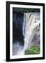 Kaieteur Waterfalls, Guyana-null-Framed Photographic Print