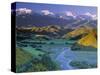 Kaikoura Range, South Island, New Zealand-Doug Pearson-Stretched Canvas