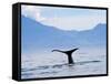 Kaikoura, South Island, New Zealand, Pacific-Ben Pipe-Framed Stretched Canvas