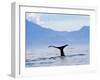 Kaikoura, South Island, New Zealand, Pacific-Ben Pipe-Framed Photographic Print
