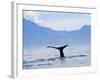 Kaikoura, South Island, New Zealand, Pacific-Ben Pipe-Framed Photographic Print