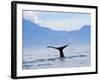 Kaikoura, South Island, New Zealand, Pacific-Ben Pipe-Framed Photographic Print