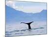 Kaikoura, South Island, New Zealand, Pacific-Ben Pipe-Mounted Photographic Print