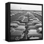 Kaisers Awaiting Delivery to Dealers-null-Framed Stretched Canvas