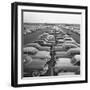 Kaisers Awaiting Delivery to Dealers-null-Framed Photographic Print