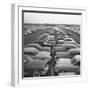 Kaisers Awaiting Delivery to Dealers-null-Framed Photographic Print