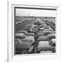 Kaisers Awaiting Delivery to Dealers-null-Framed Photographic Print