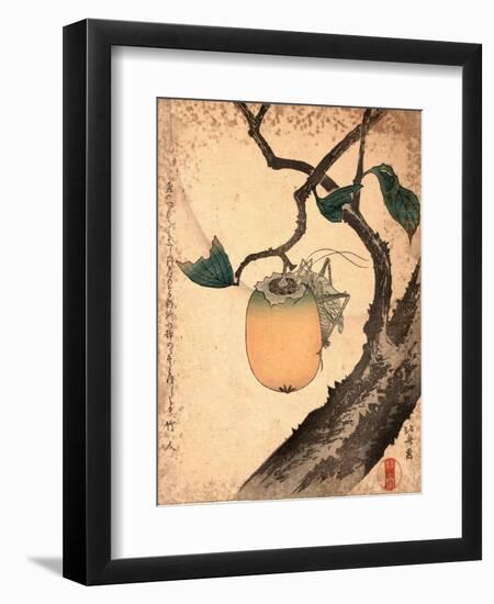 Kaki Ni Kirigirisu-Katsushika Hokusai-Framed Giclee Print