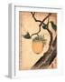 Kaki Ni Kirigirisu-Katsushika Hokusai-Framed Giclee Print