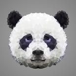 Raccoon Low Poly Portrait-kakmyc-Art Print