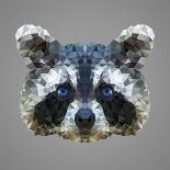 Raccoon Low Poly Portrait-kakmyc-Framed Stretched Canvas