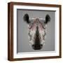Brown Frame