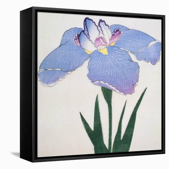 Kaku Jaku Ro Book of a Blue Iris-Stapleton Collection-Framed Stretched Canvas