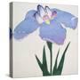 Kaku Jaku Ro Book of a Blue Iris-Stapleton Collection-Stretched Canvas