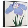 Kaku Jaku Ro Book of a Blue Iris-Stapleton Collection-Framed Stretched Canvas