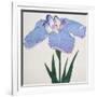 Kaku Jaku Ro Book of a Blue Iris-Stapleton Collection-Framed Giclee Print