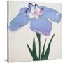 Kaku Jaku Ro Book of a Blue Iris-Stapleton Collection-Stretched Canvas