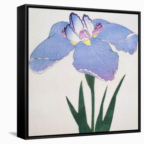 Kaku Jaku Ro Book of a Blue Iris-Stapleton Collection-Framed Stretched Canvas