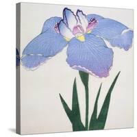 Kaku Jaku Ro Book of a Blue Iris-Stapleton Collection-Stretched Canvas