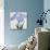 Kaku Jaku Ro Book of a Blue Iris-Stapleton Collection-Stretched Canvas displayed on a wall