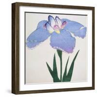 Kaku Jaku Ro Book of a Blue Iris-Stapleton Collection-Framed Giclee Print