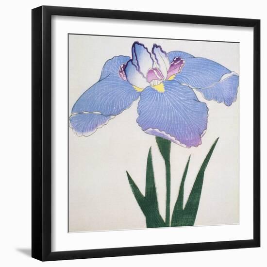 Kaku Jaku Ro Book of a Blue Iris-Stapleton Collection-Framed Giclee Print