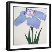Kaku Jaku Ro Book of a Blue Iris-Stapleton Collection-Framed Giclee Print