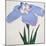 Kaku Jaku Ro Book of a Blue Iris-Stapleton Collection-Mounted Giclee Print