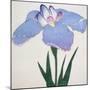 Kaku Jaku Ro Book of a Blue Iris-Stapleton Collection-Mounted Giclee Print