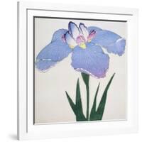 Kaku Jaku Ro Book of a Blue Iris-Stapleton Collection-Framed Giclee Print