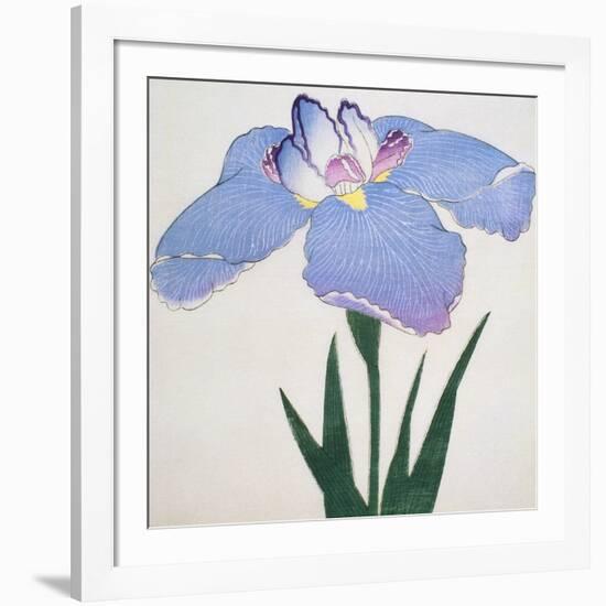 Kaku Jaku Ro Book of a Blue Iris-Stapleton Collection-Framed Giclee Print