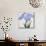 Kaku Jaku Ro Book of a Blue Iris-Stapleton Collection-Mounted Giclee Print displayed on a wall
