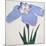 Kaku Jaku Ro Book of a Blue Iris-Stapleton Collection-Mounted Giclee Print