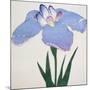 Kaku Jaku Ro Book of a Blue Iris-Stapleton Collection-Mounted Giclee Print